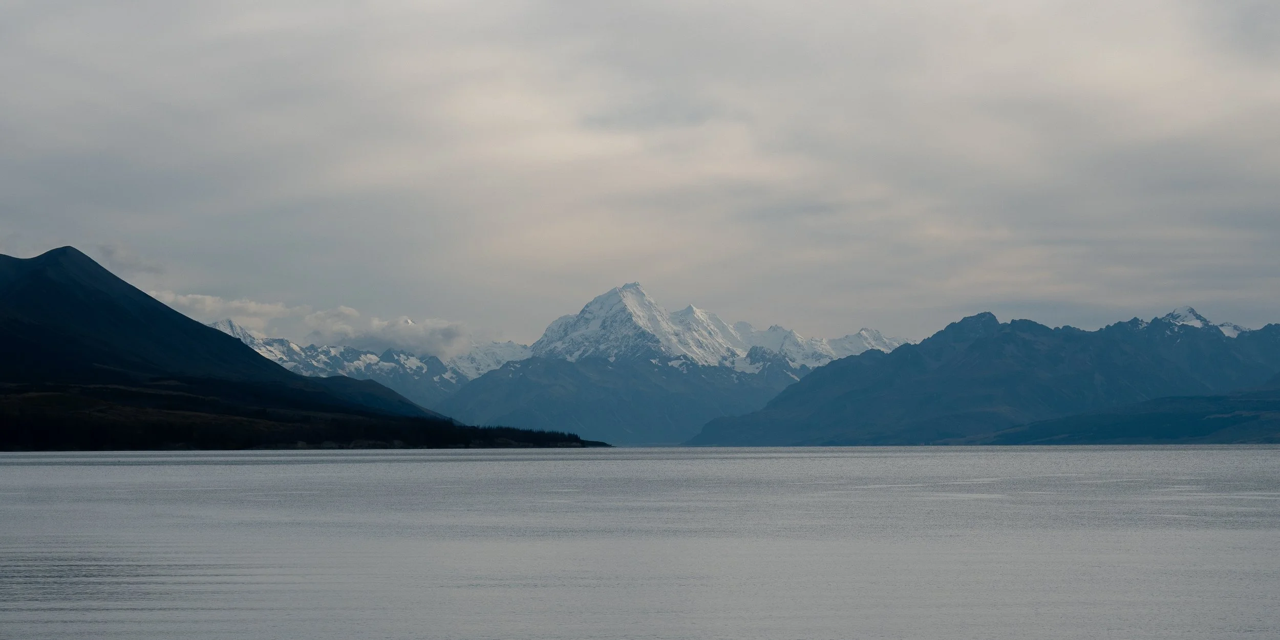 NZT03749.jpg