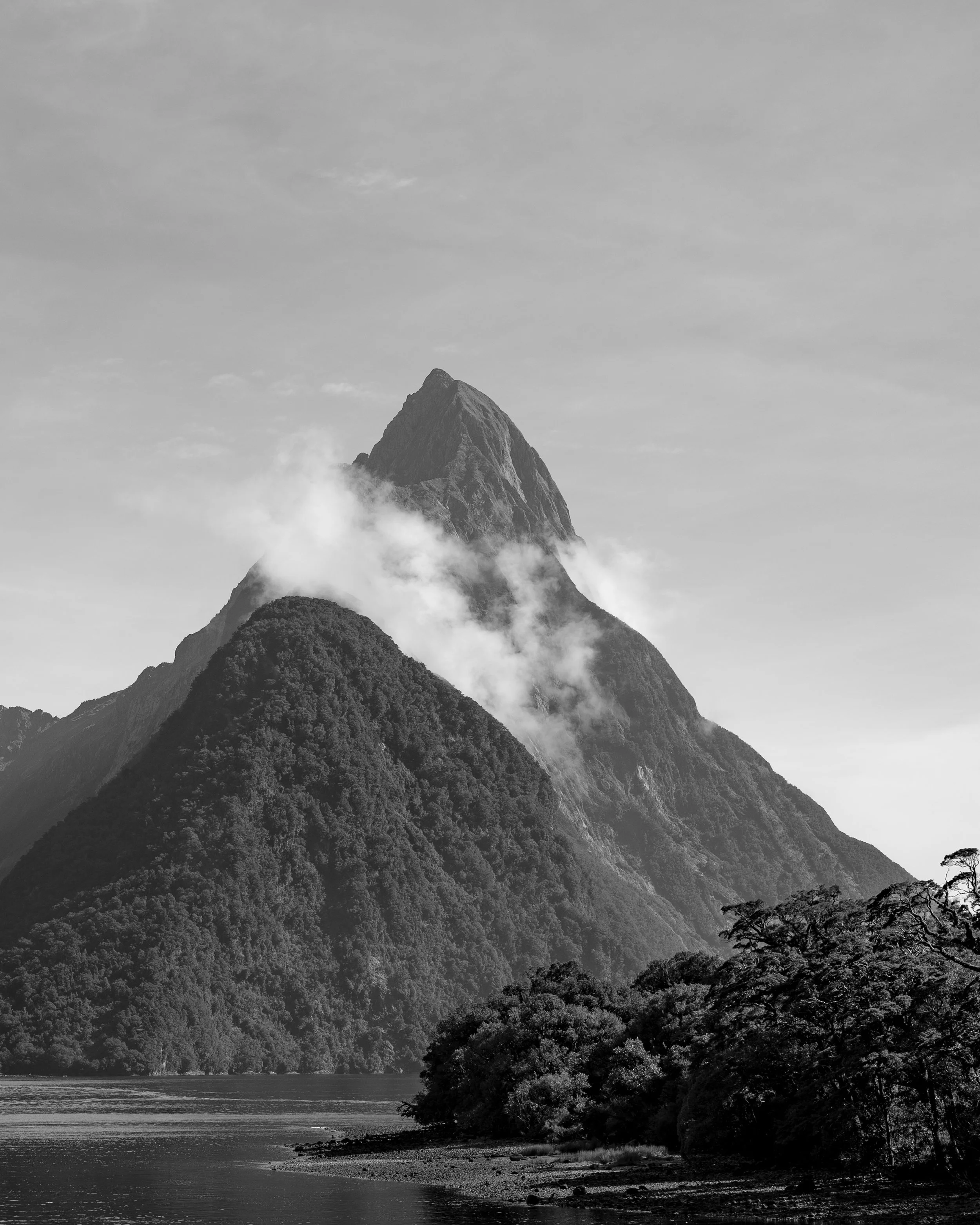 NZT03608.jpg