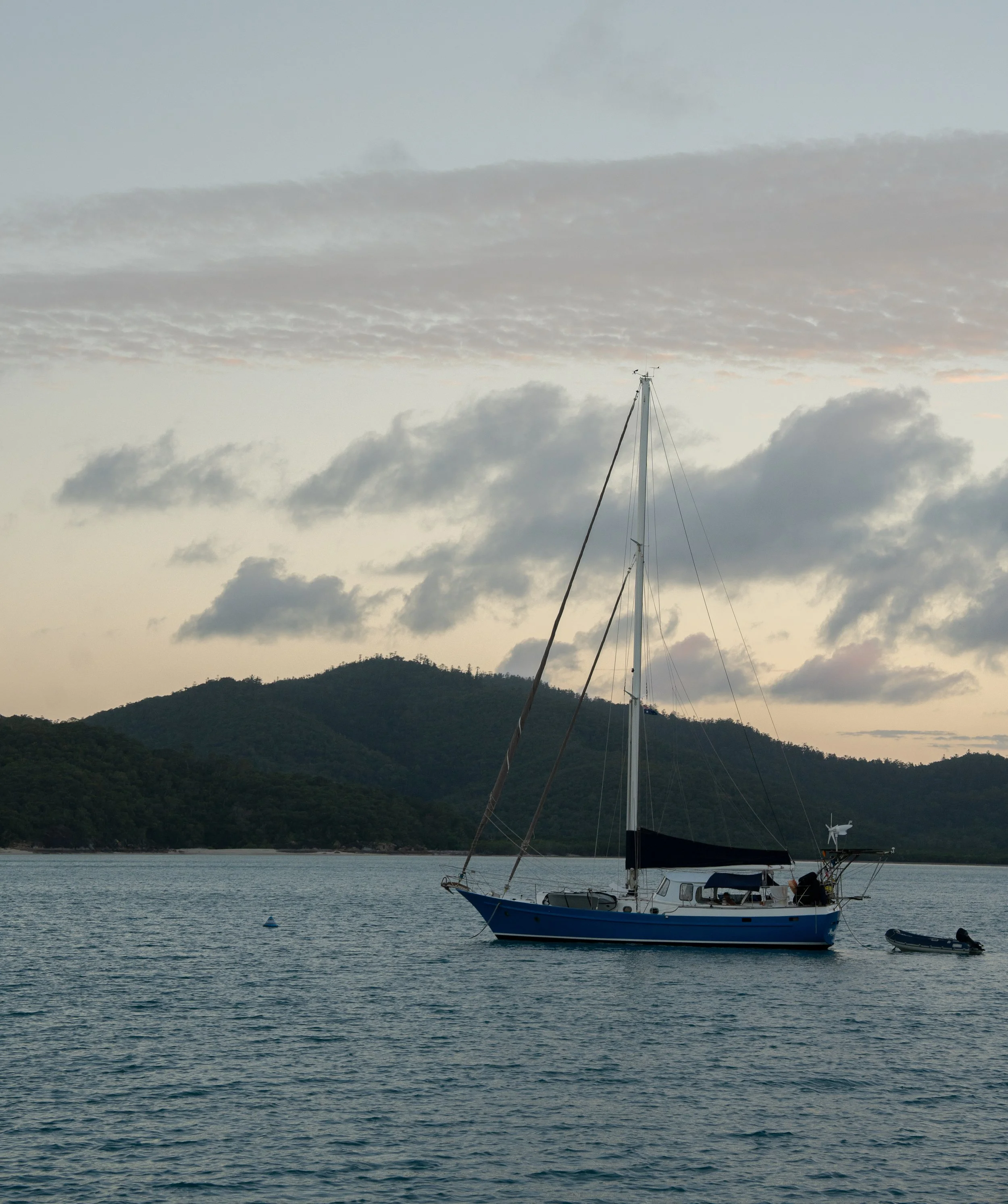 NZT04227 copy.jpg