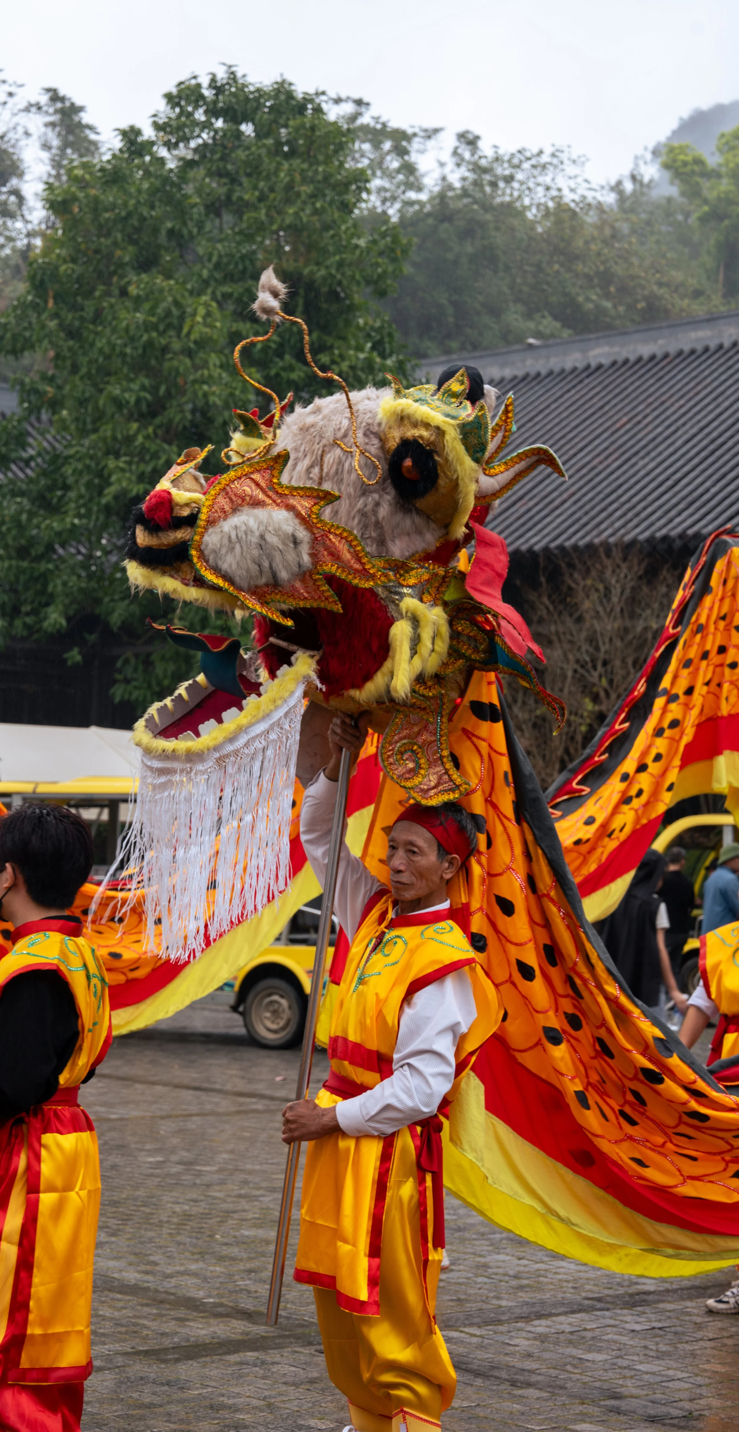 DSC02739 copy.jpg