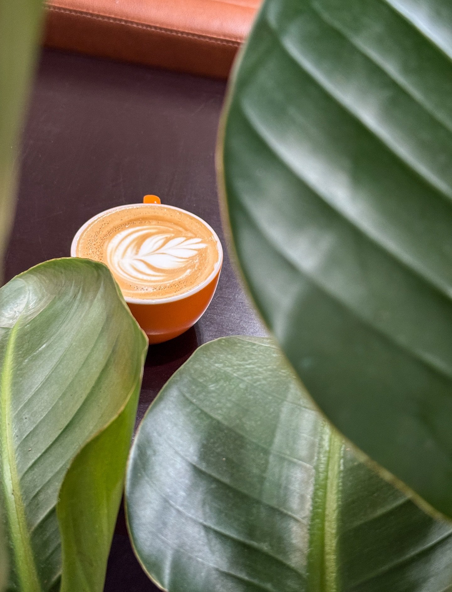 Happy Monday 💛 Start your week off right (here)!