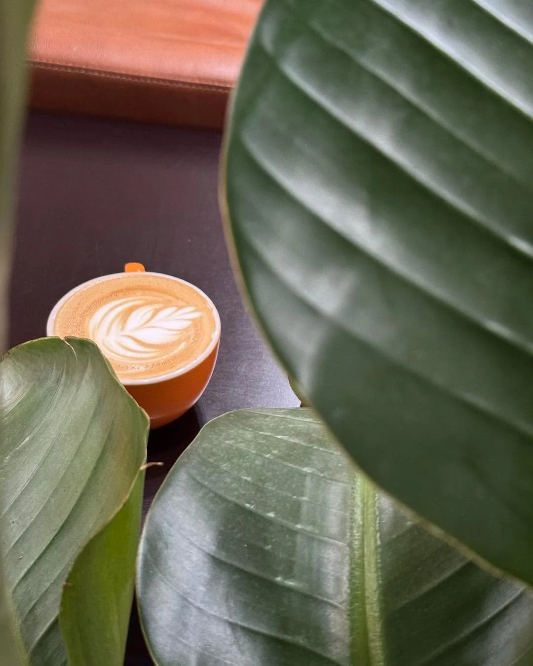 ✨ We will be open Memorial Day, 7am - 4pm ☕️