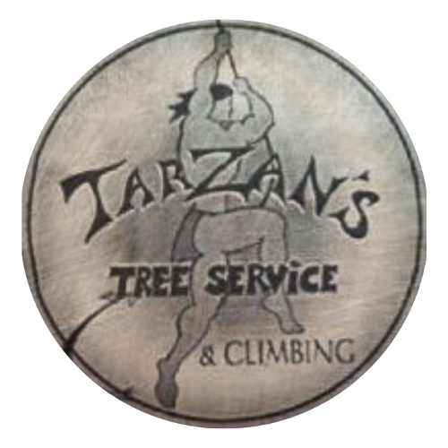 TARZAN'S WYLD