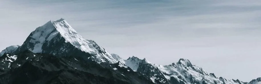 The Primal Wisdom Collective