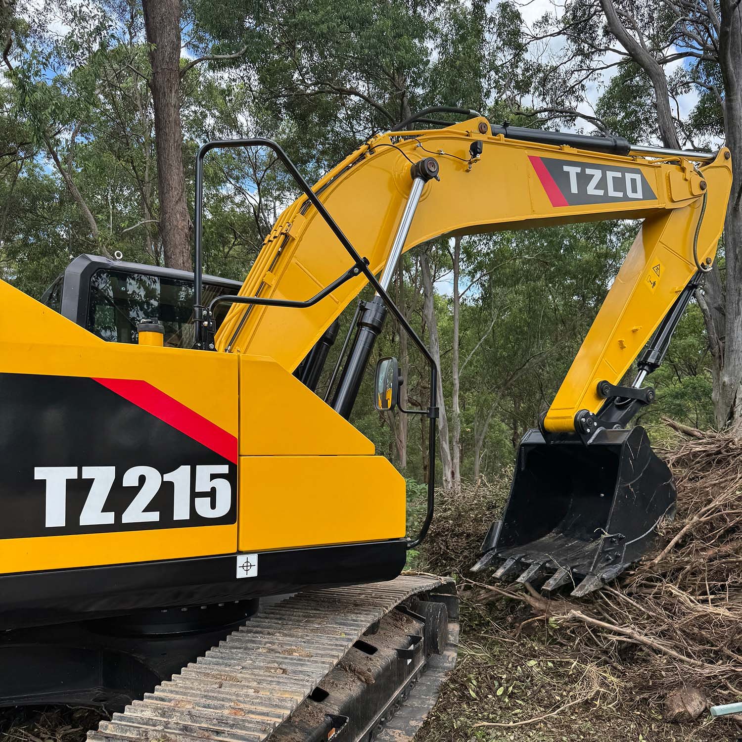 TZ215-in-situ-5.jpg