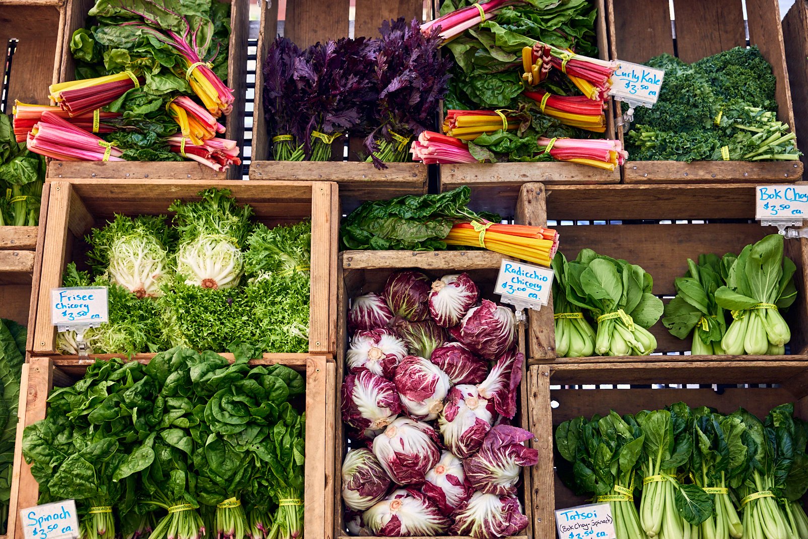 Geometric drawing of an outline square with sections divided by vertical, horizontal, and diagonal lines.