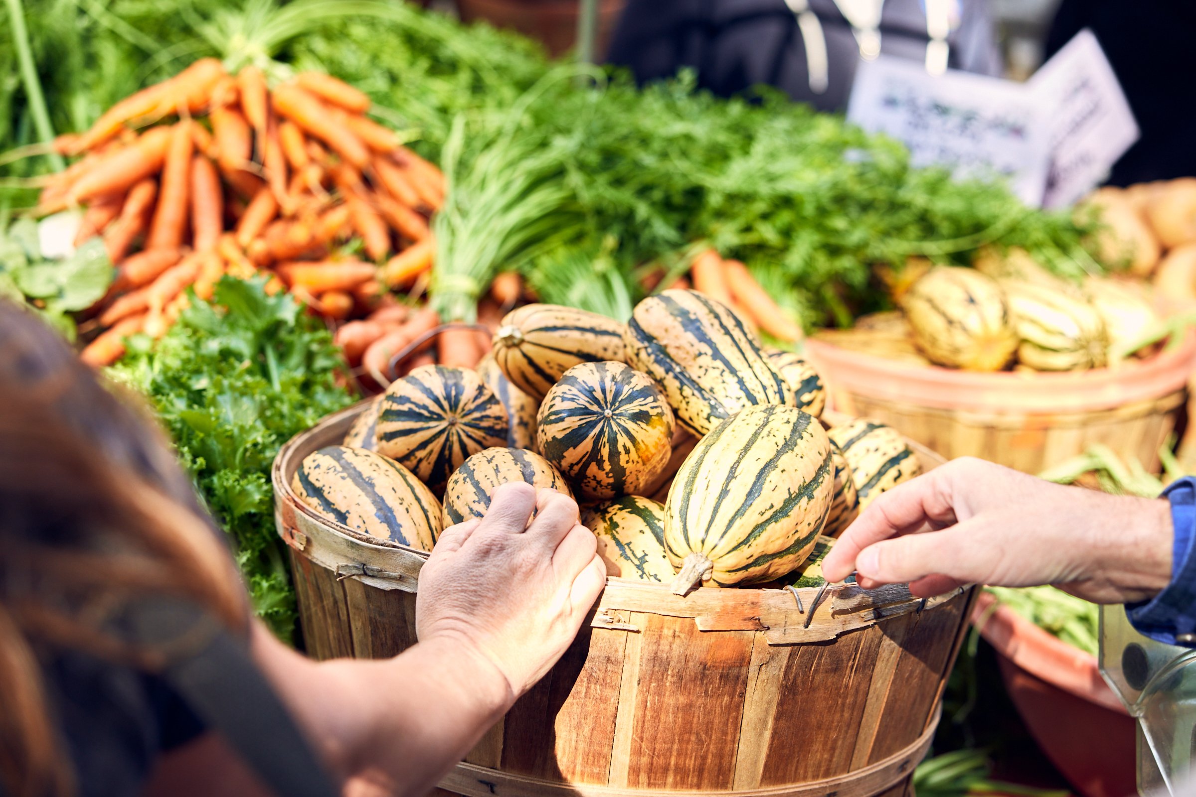 Gather Around Nutrition's ingredient sourcing in action as hands thoughtfully select farm-fresh, locally grown vegetables at the farmers market, showcasing the personal care and direct relationships that ensure exceptional quality and peak nutrition