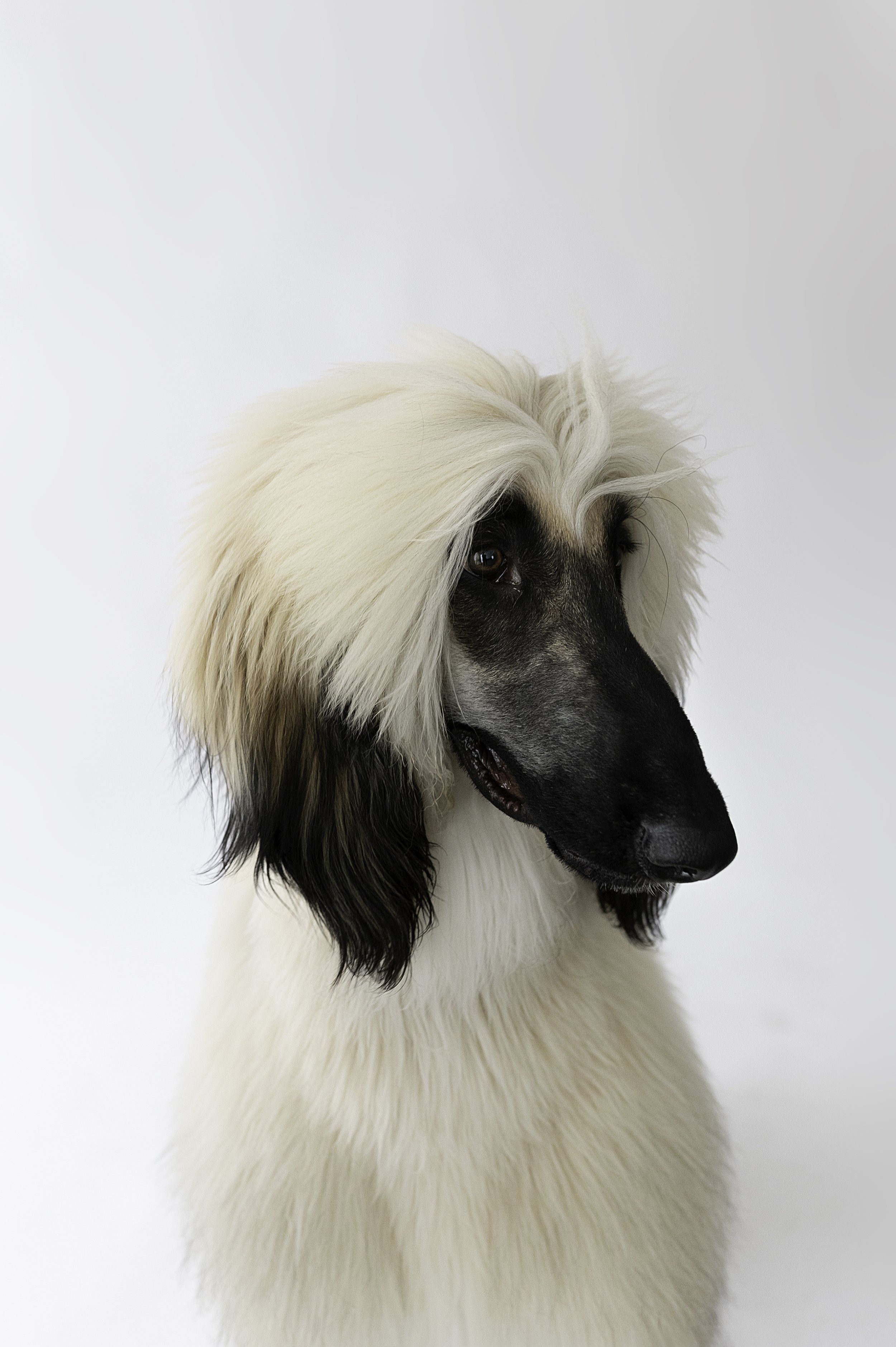 DSC_2021-Edit copy.jpg