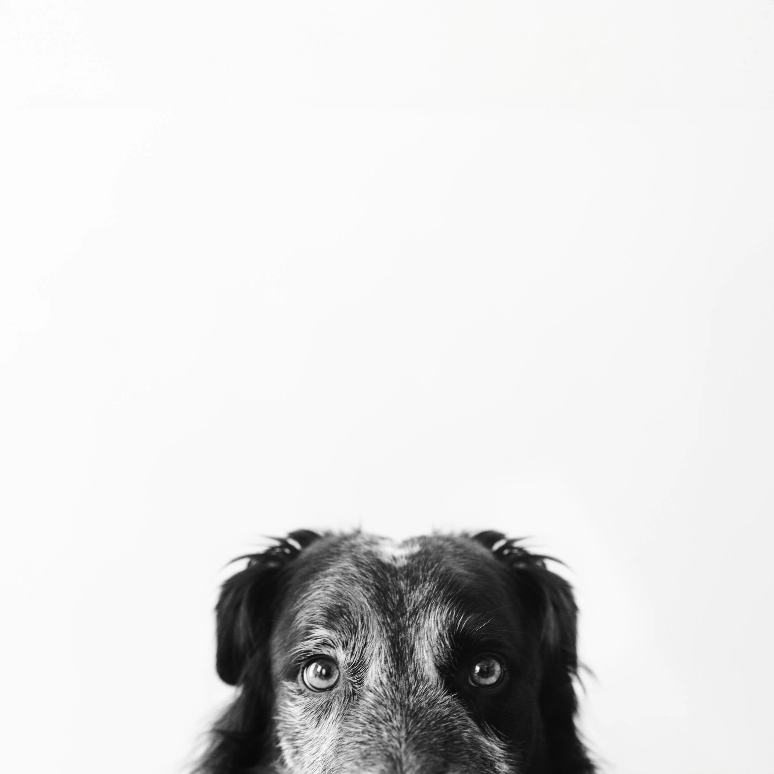 DSC_3087-Edit copy2.jpg