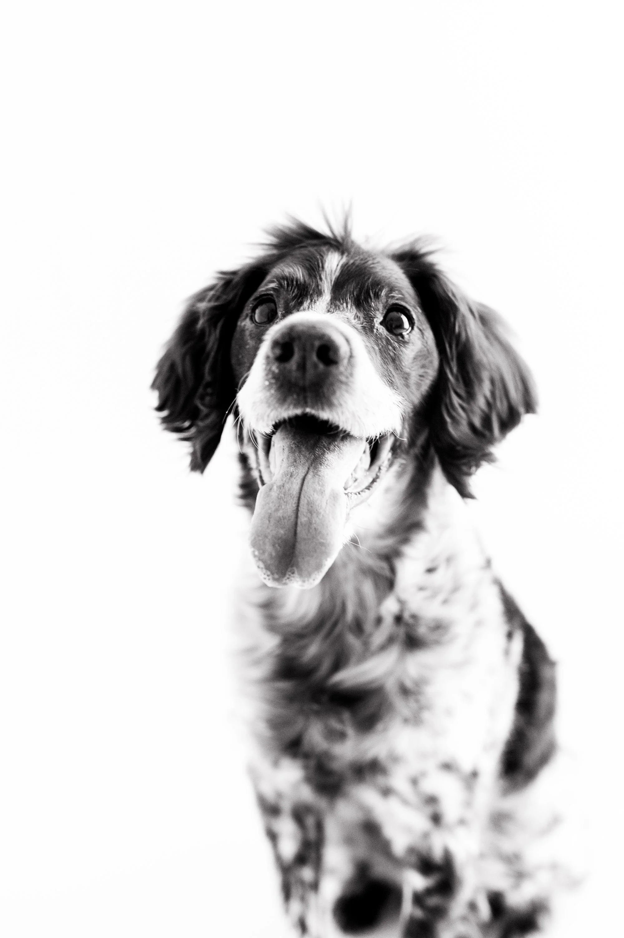 Molly_1912-2.jpg
