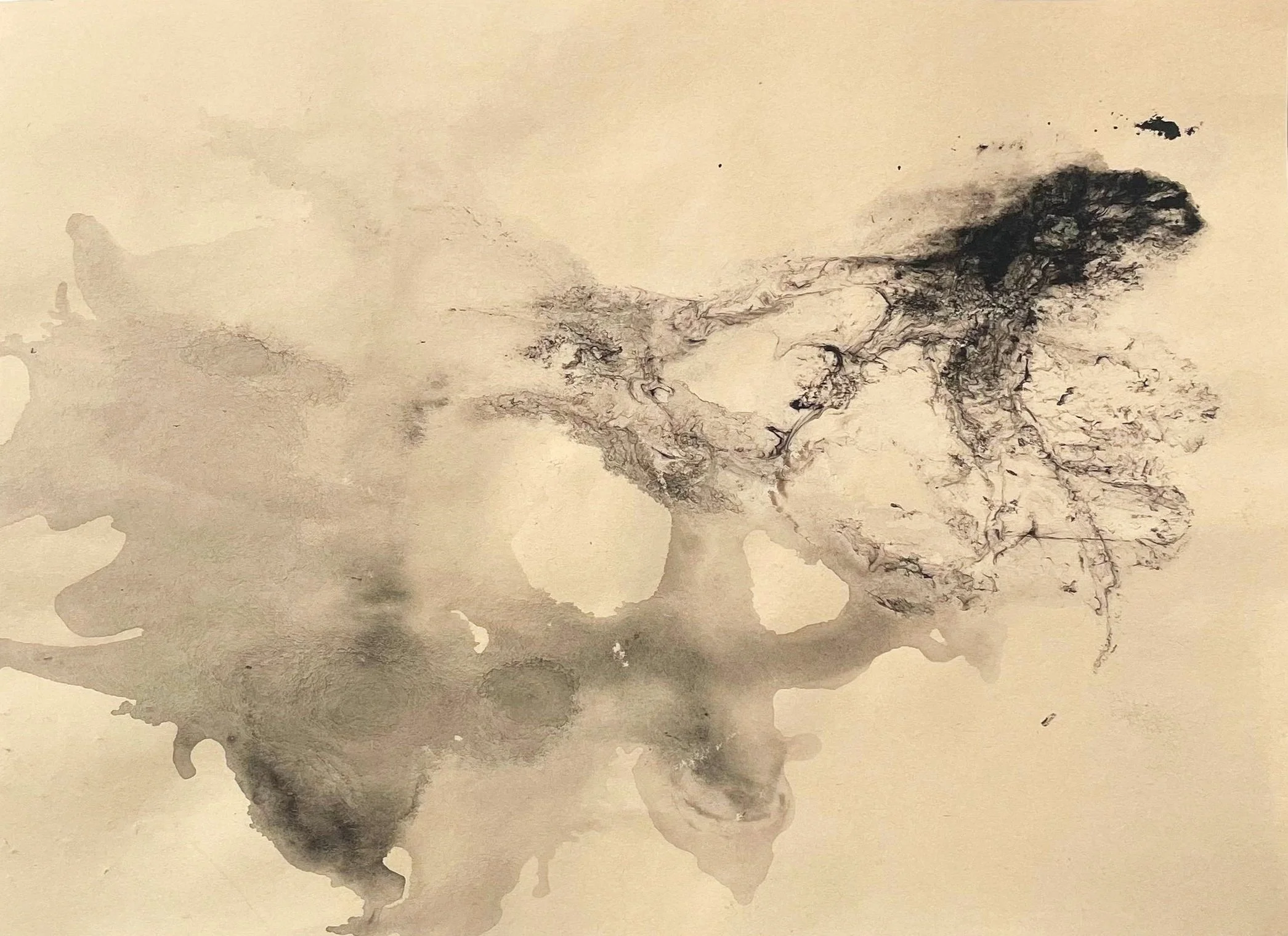 charcoal, water, spit on sun-bleached paper. 7.5x10in.