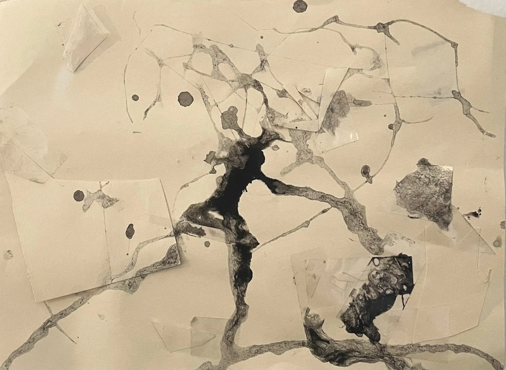 charcoal, water, spit, and tape on sun-bleached paper. 7.5x10in.