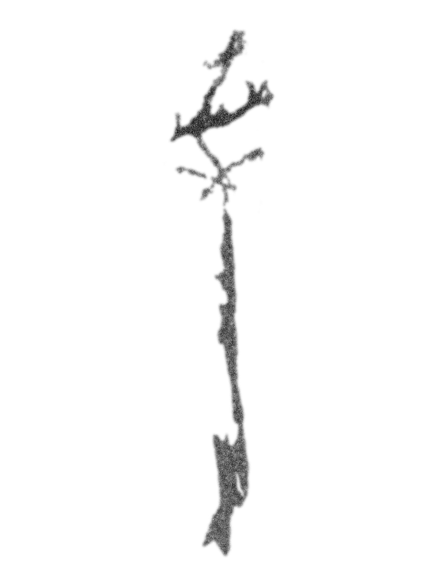 39.94453° N, 75.15709° W