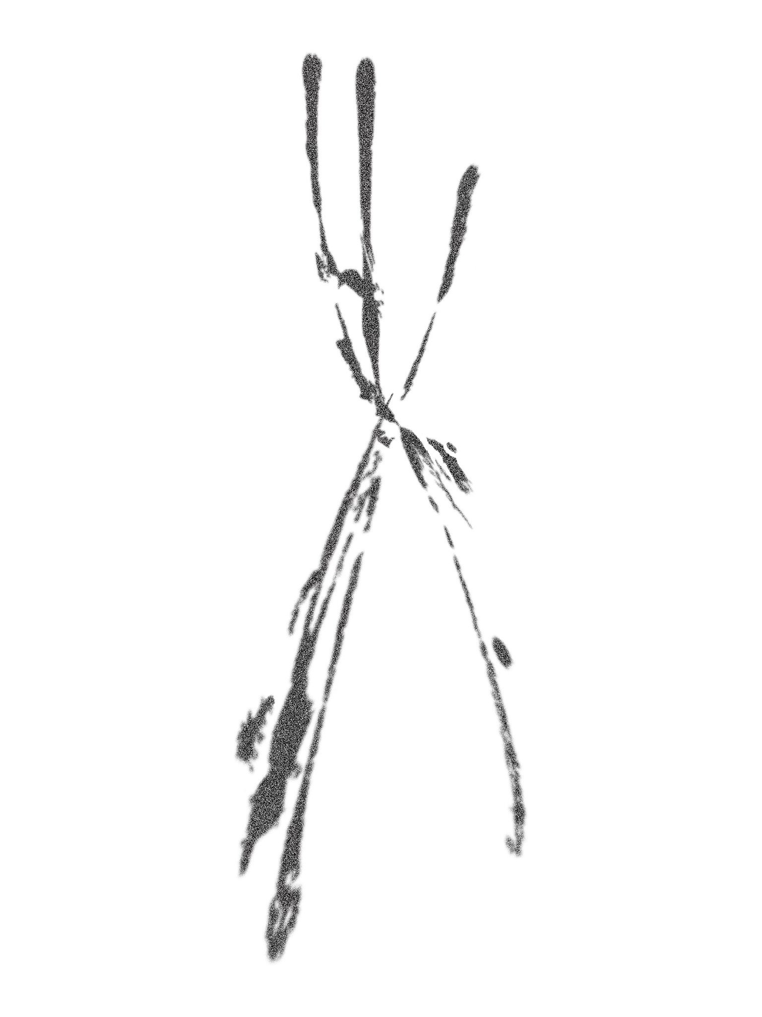 45.52015° N, 122.66219° W