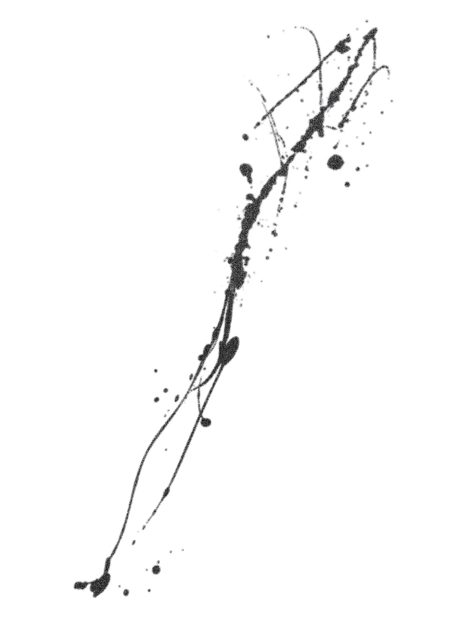 37.77132° N, 122.43697° W