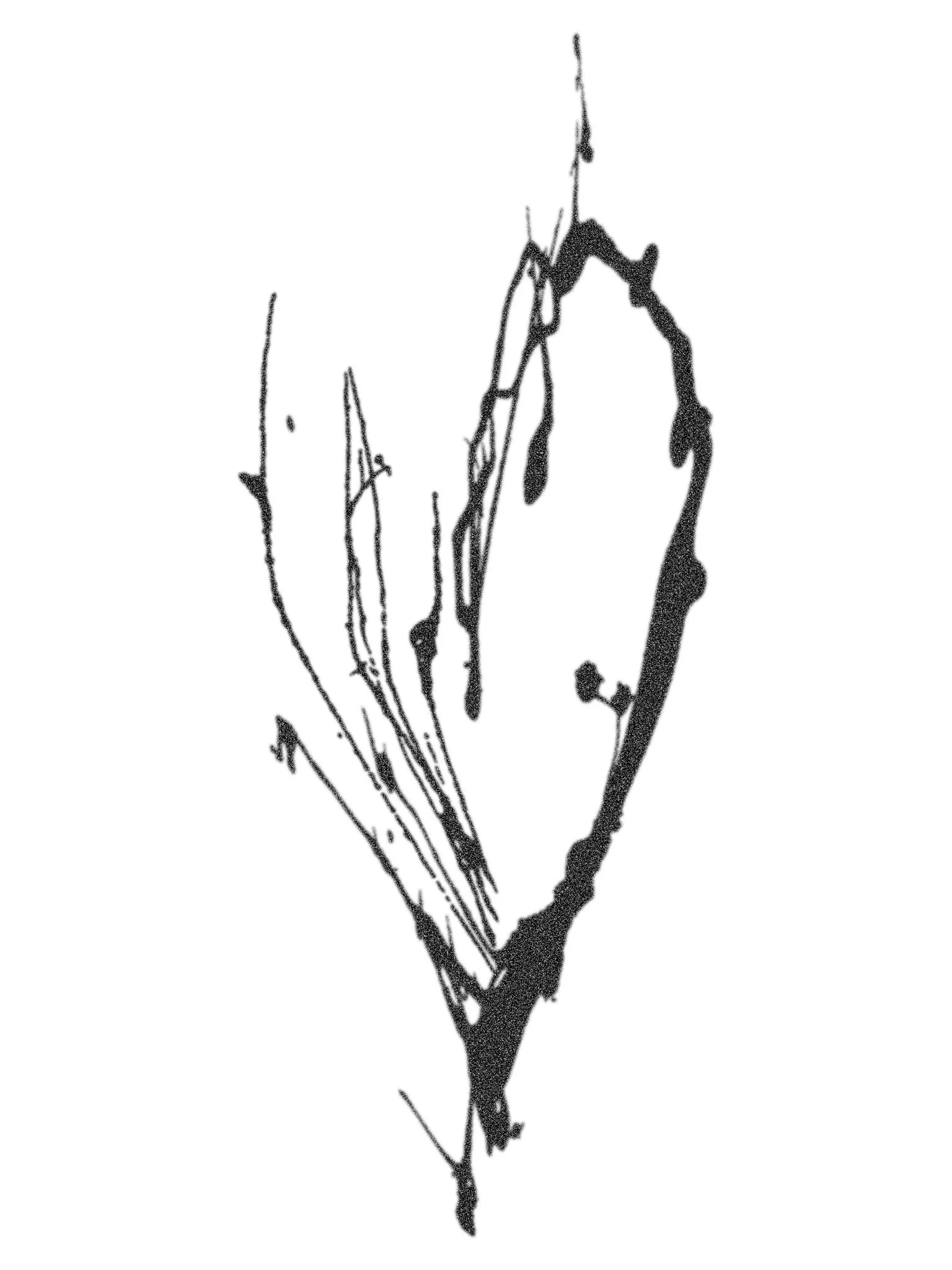 41.84833° N, 87.64651° W