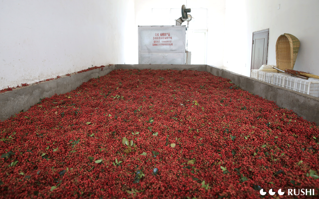 Da Hong Pao of Rushi Spice