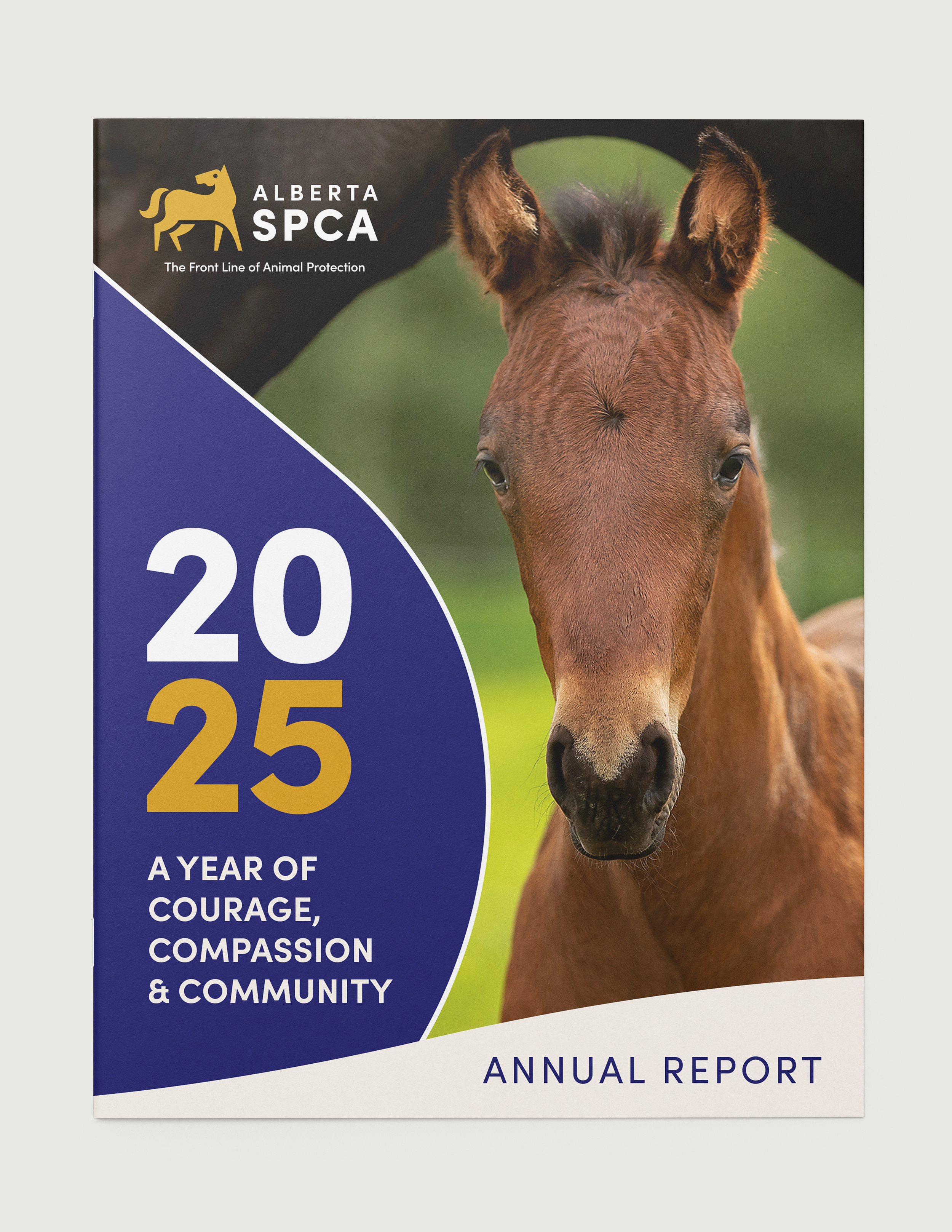 Graphic Design: Cover of 2025 Annual Report for the Alberta SPCA featuring a colt.