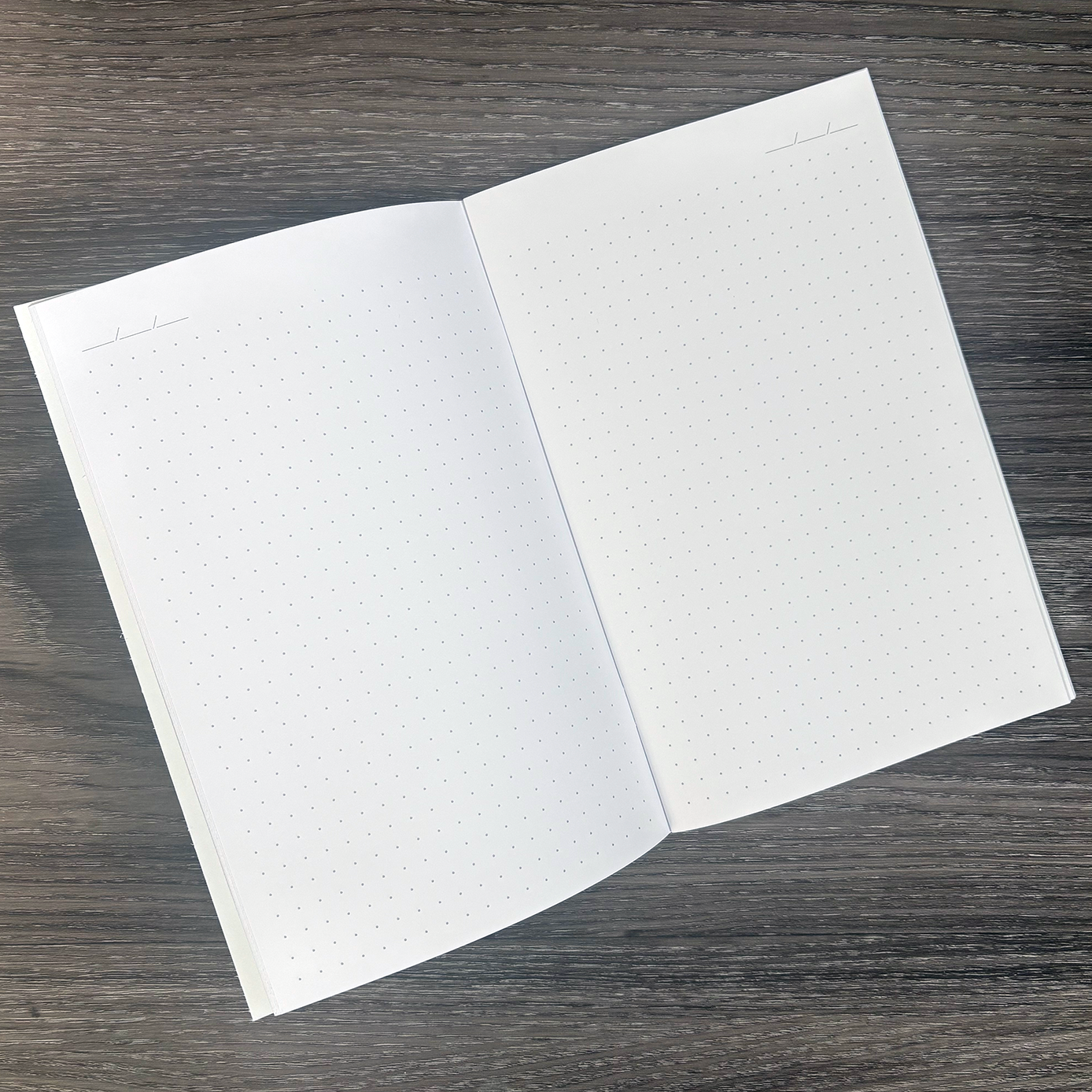 Camp Dot Grid Inside.png