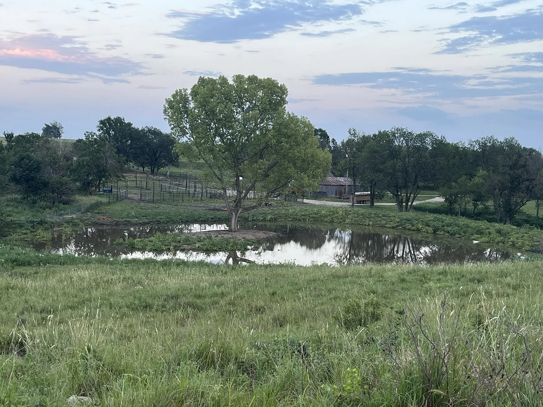 Pond Reclamation After