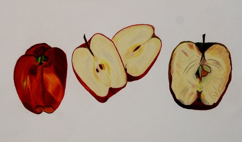 Apple Stages color pencils 2021