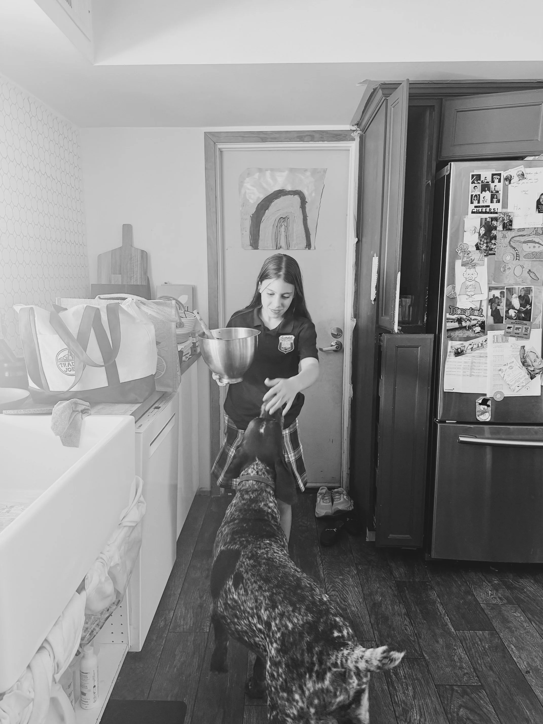 stella pongo 2024 2.jpg