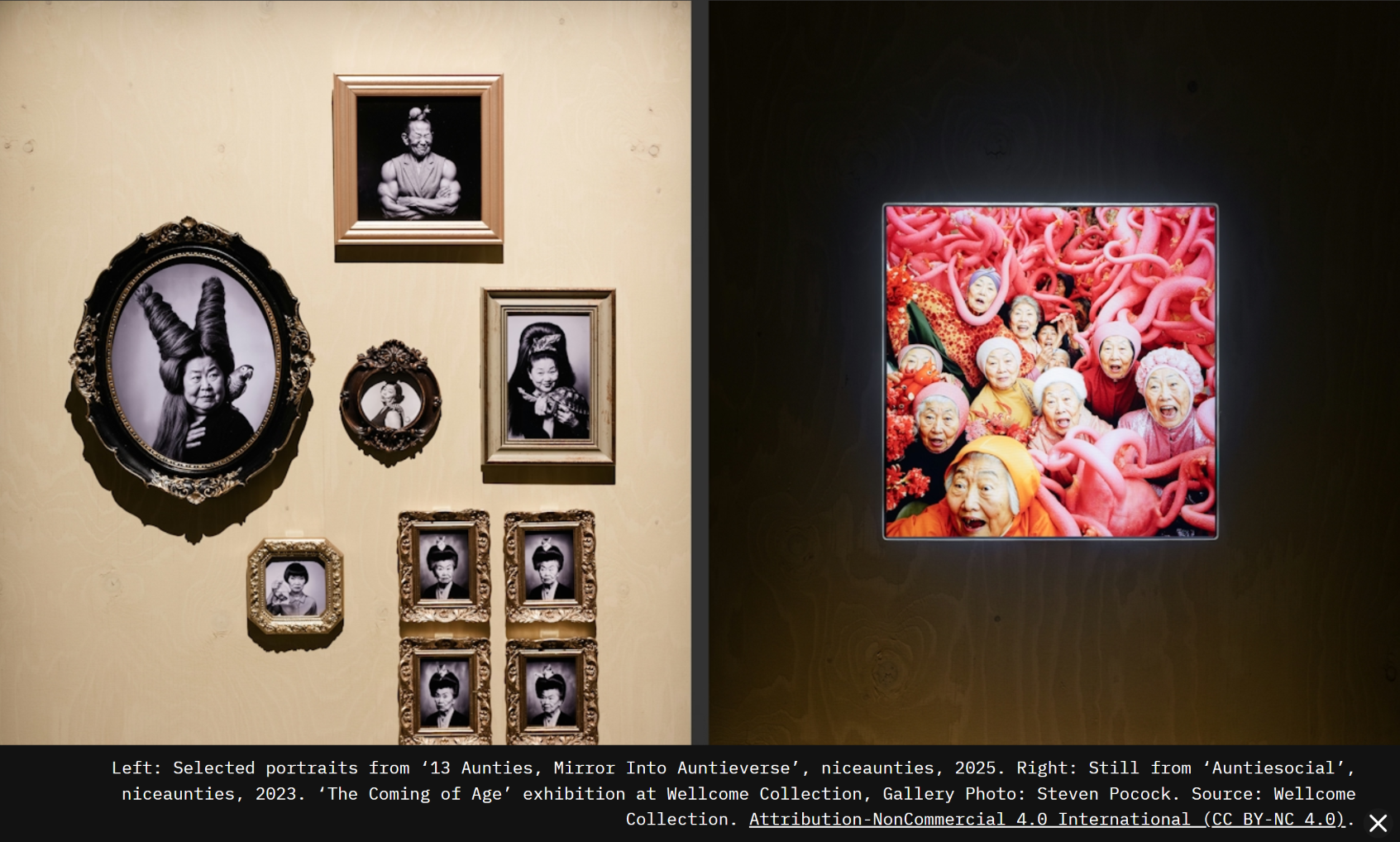 Coming of Age Exhibition, Wellcome Collection, Mar. 26-Nov.29, 2026