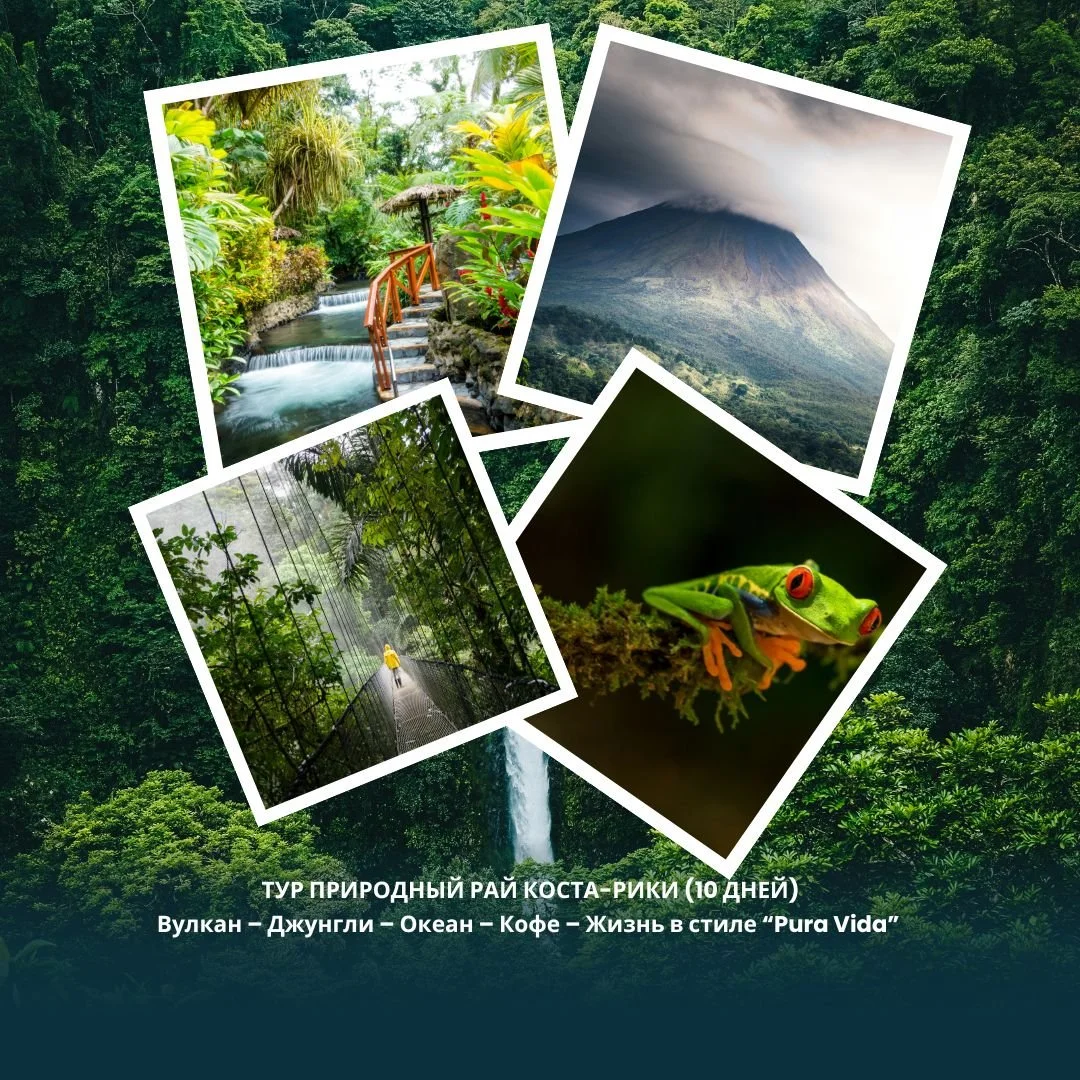 🌿🇨🇷 ПРИРОДНЫЙ РАЙ КОСТА-РИКИ (10 ДНЕЙ)
Вулкан &ndash; Джунгли &ndash; Океан &ndash; Кофе &ndash; Жизнь в стиле &ldquo;Pura Vida&rdquo;
Путешествие, которое навсегда останется в сердце.
🔥 Активные вулканы, бирюзовые кратеры, тропические джунгли с 