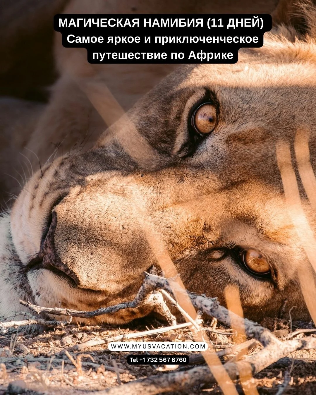 🔥 МАГИЧЕСКАЯ НАМИБИЯ (11 ДНЕЙ) 🔥
🌍 Самое яркое и приключенческое путешествие по Африке
Это не просто тур.
Это Африка, которую чувствуют кожей, запоминают навсегда и потом сравнивают с ней все остальные путешествия.
🗺 Маршрут группового тура:
Винд