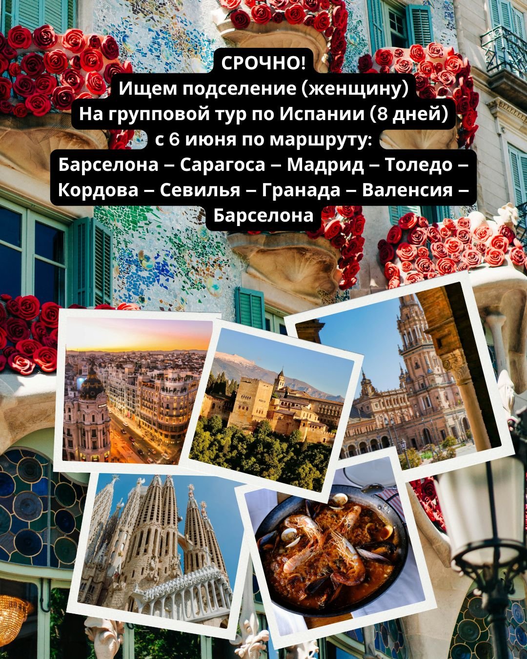 🇪🇸Срочно ищем подселение в групповой тур по Испании ✨
Если вы &mdash; одна путешествующая женщина и давно мечтали открыть для себя Испанию &mdash; это идеальный шанс присоединиться к уже сформированной группе 💫
Маршрут тура &mdash; настоящая класс