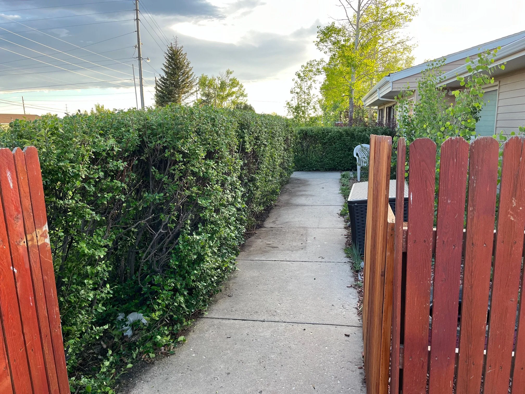 A concrete sidewalk leading between a green hedge on the left and a red wooden gate on the right, with outdoor furniture and a house visible in the background.