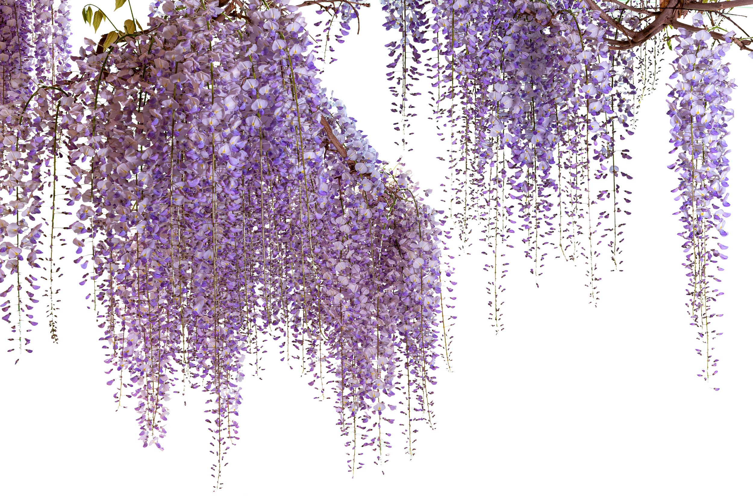 AdobeStock_602112724.jpeg