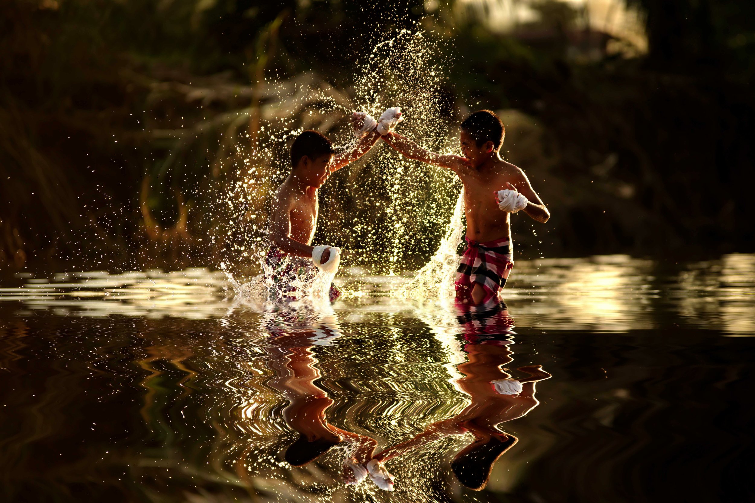 AdobeStock_447209222.jpeg