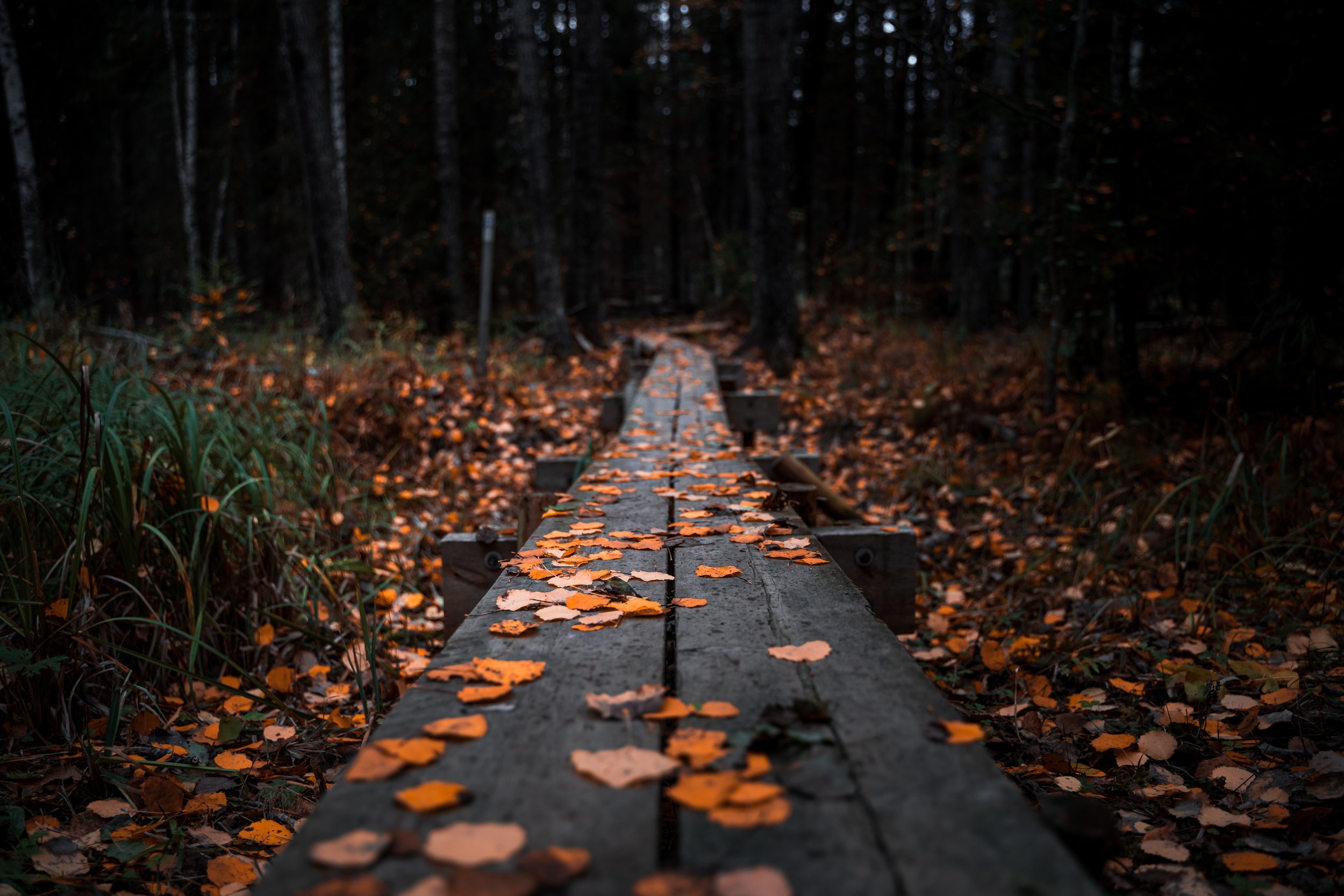 AdobeStock_386239342.jpeg