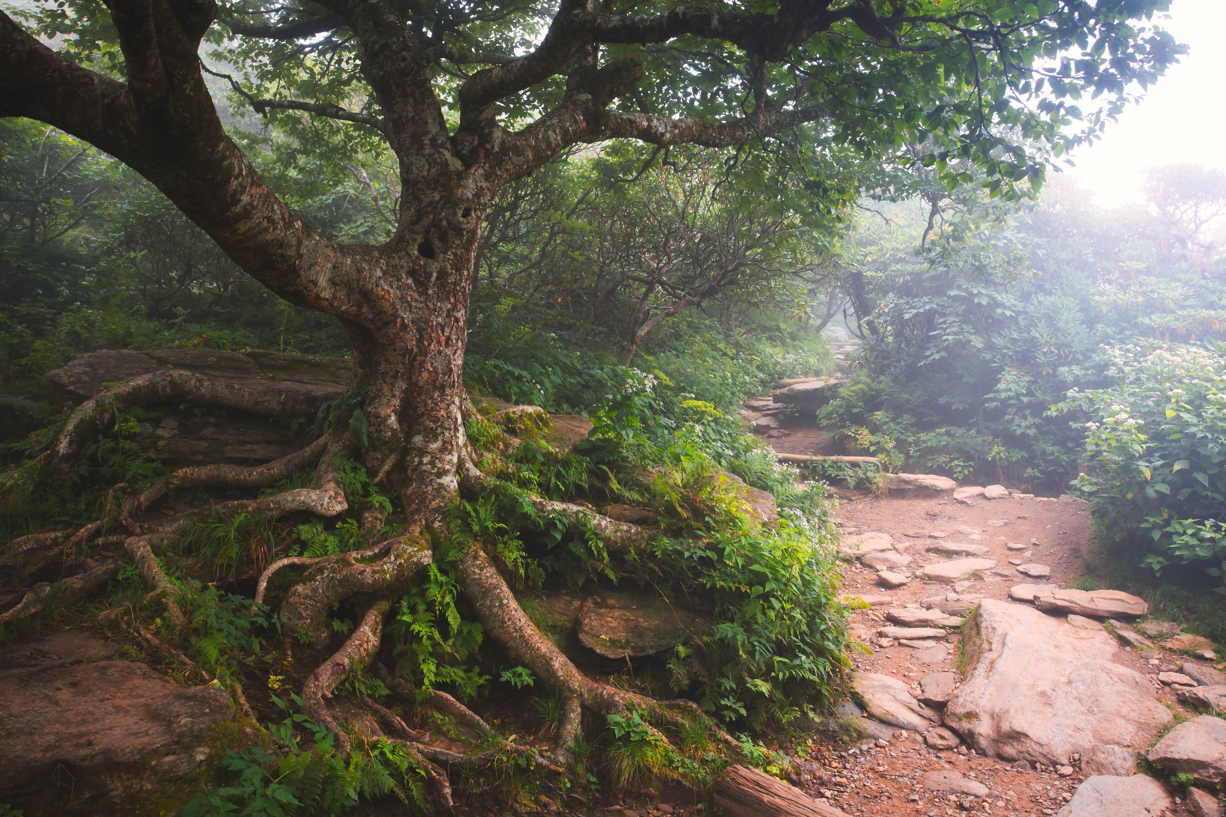 Breath Flow and Strengthening