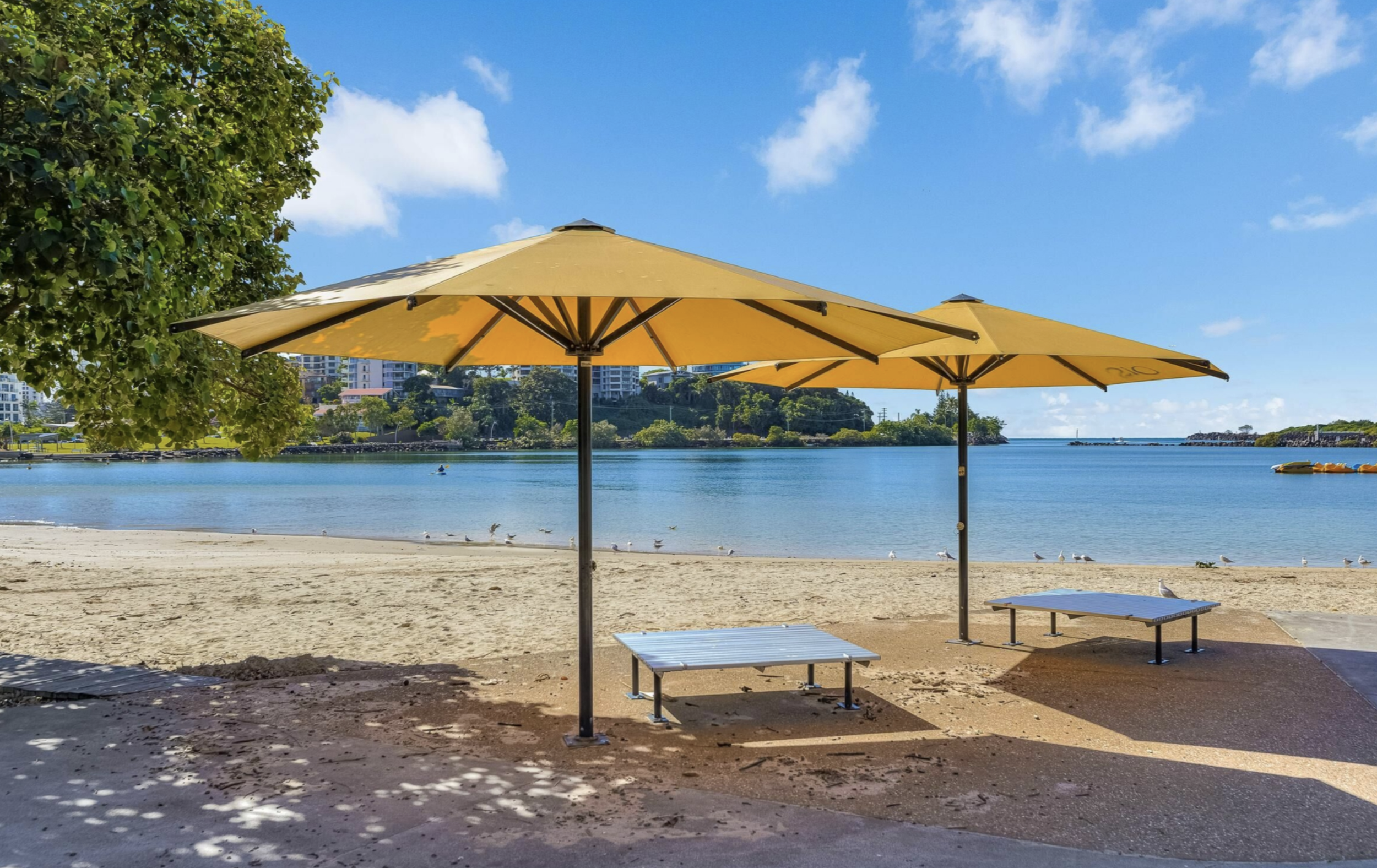 Screenshot 2026-02-20 at 10.59.48 am.png