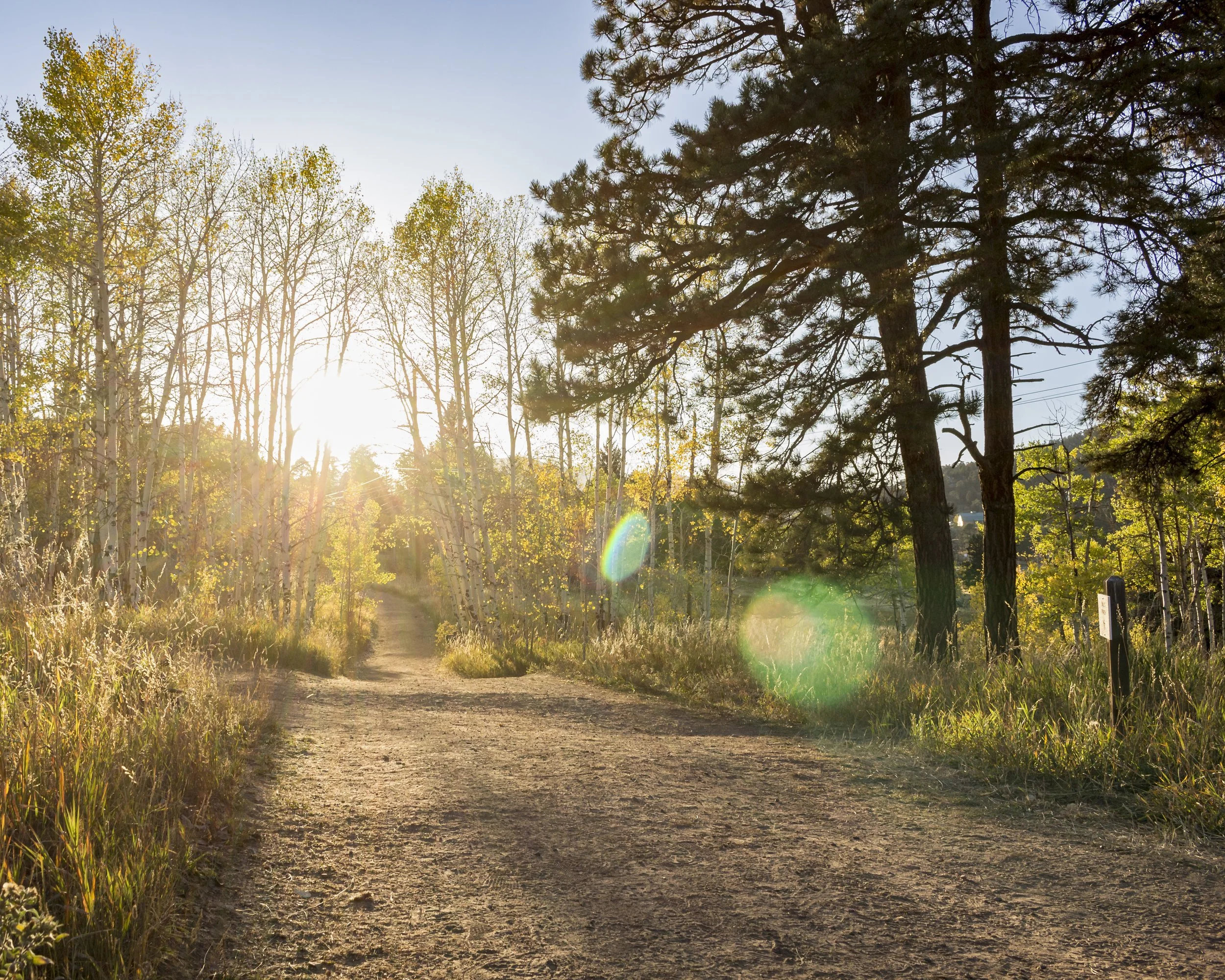 School Trip Fundraiser