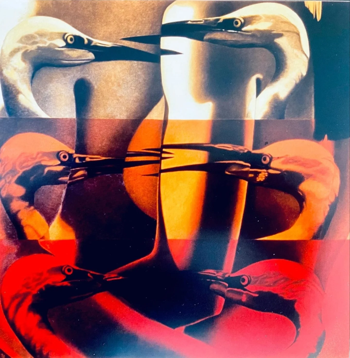 &ldquo;Pecking Order&rdquo; &lsquo;96
Artist: Greg Busch 
Private collection