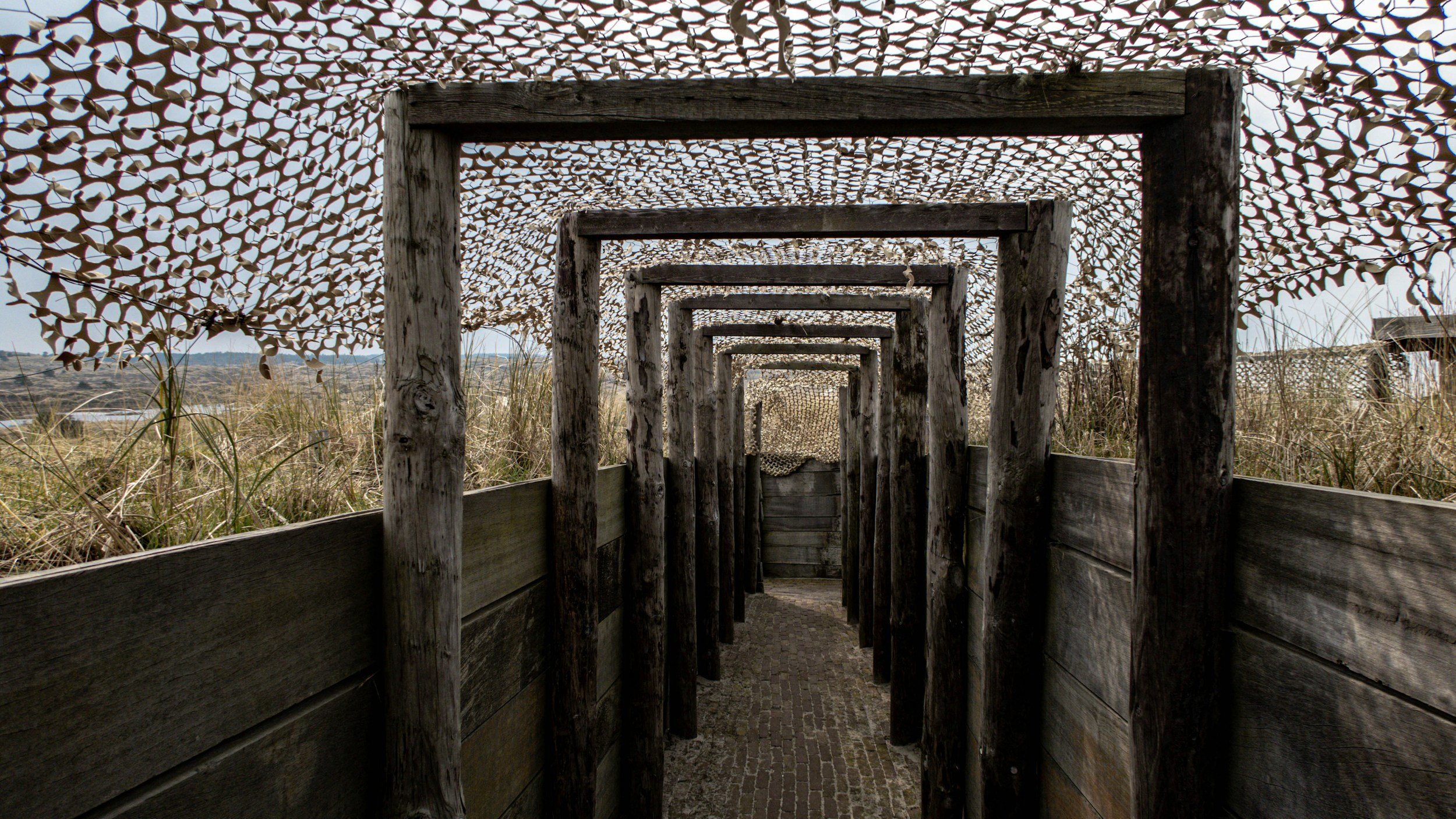 Lessons from the Trenches: IT Consulting That Hits Different