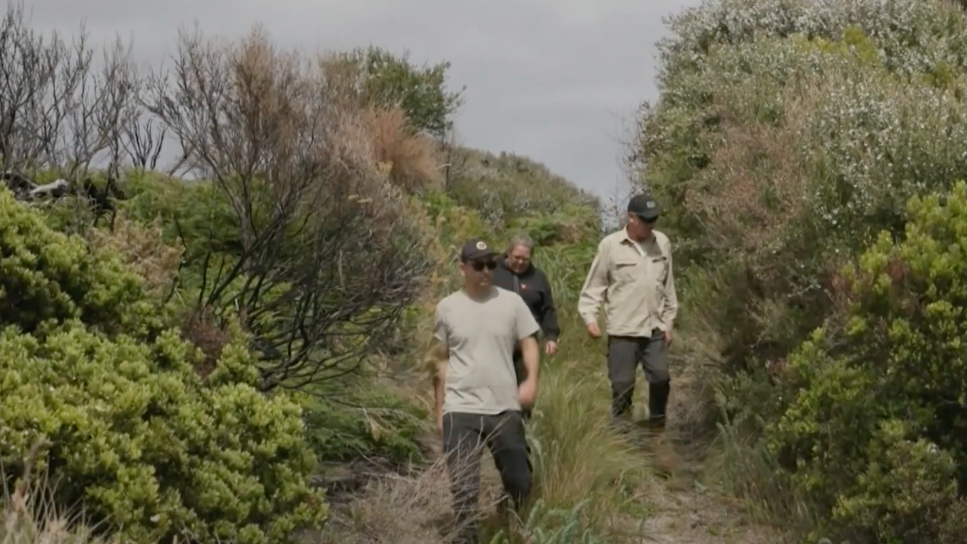 Rewilding vs. Restoration