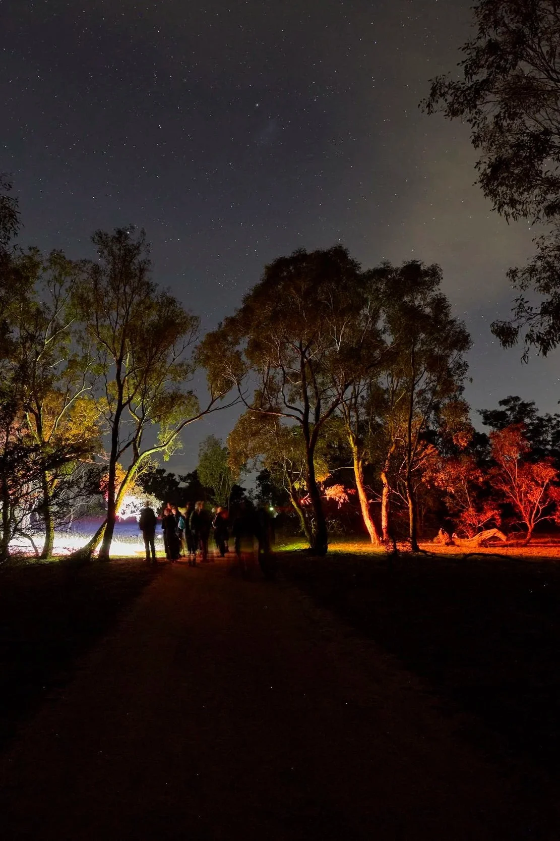 Into the night: Rediscovering threatened wildlife at Mount Rothwell