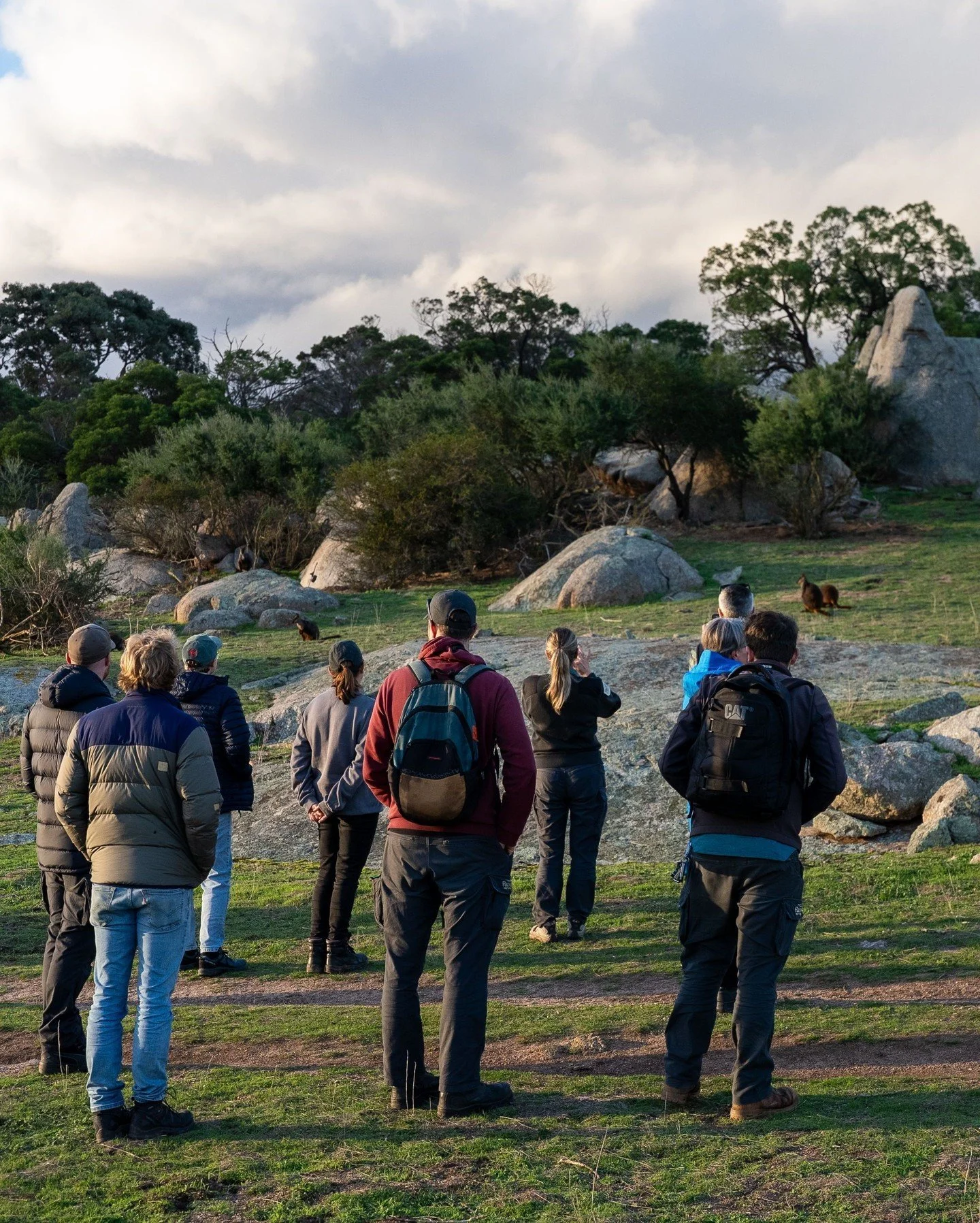 We were thrilled to host the crew from @parksvic on a tour of our volcanic plains grasslands at @mtrothwell Safe Haven last week. Did you know these grasslands are one of Australia's most critically endangered ecosystems, reduced to less than 1% of t