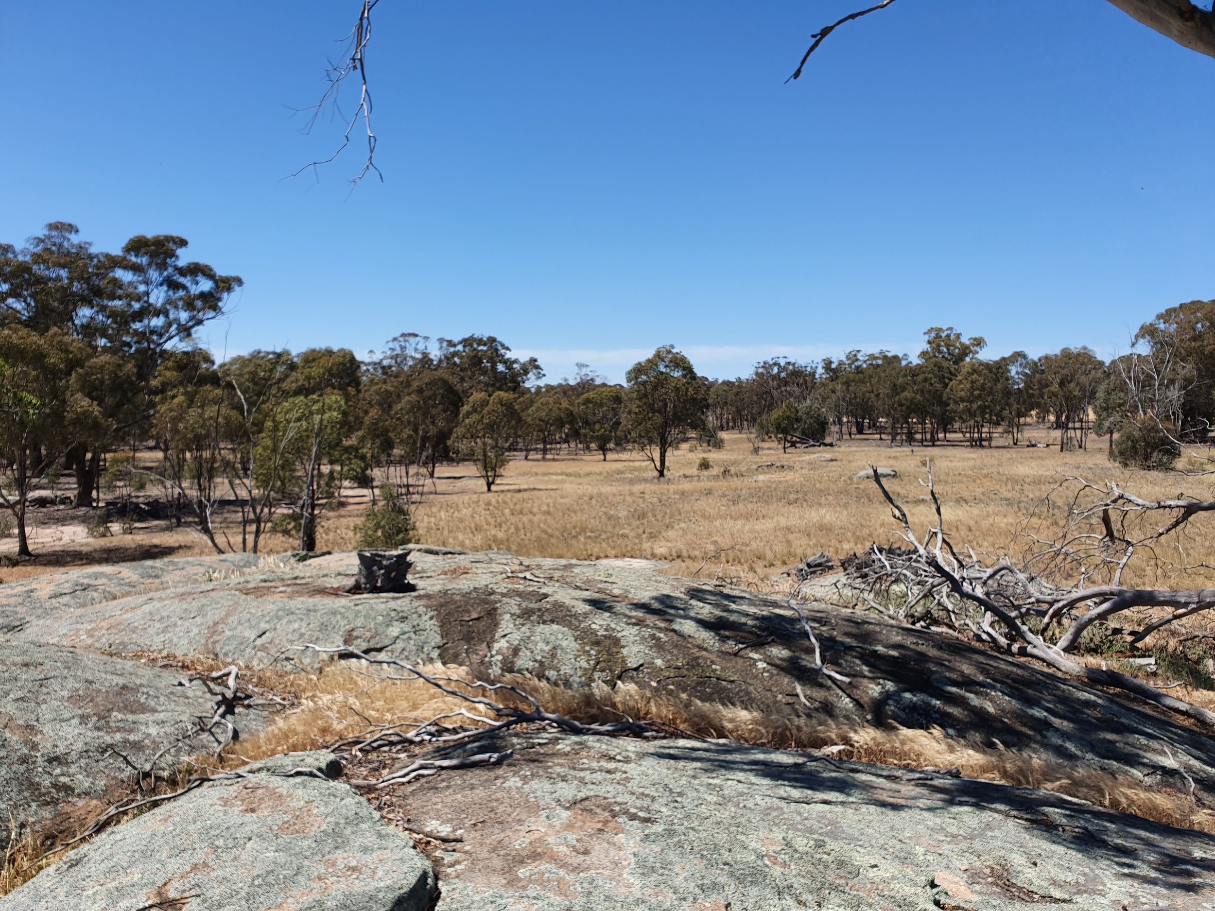 Orana Park Sanctuary VIC