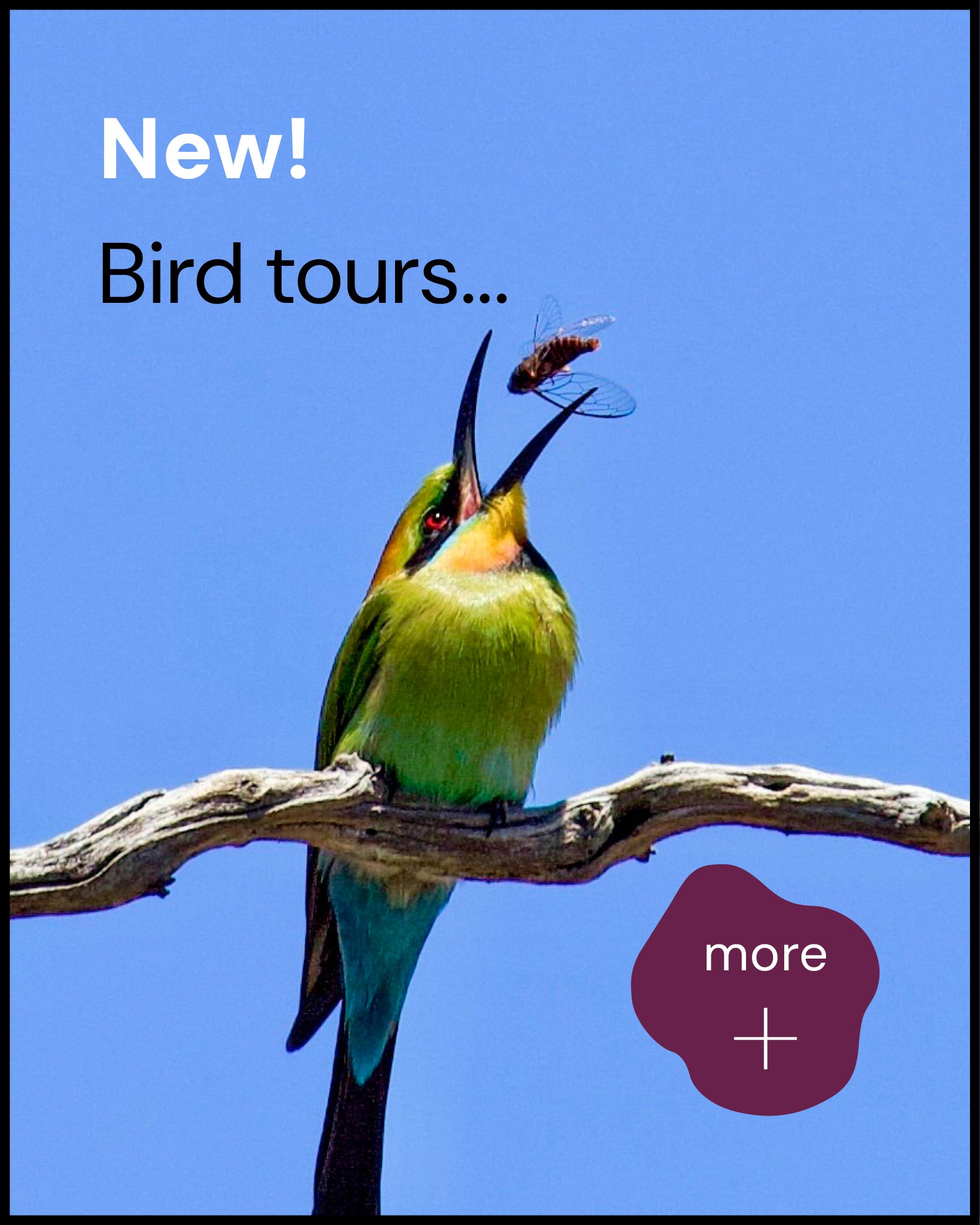 ODN_Web carousel_Feb2026_01.jpg