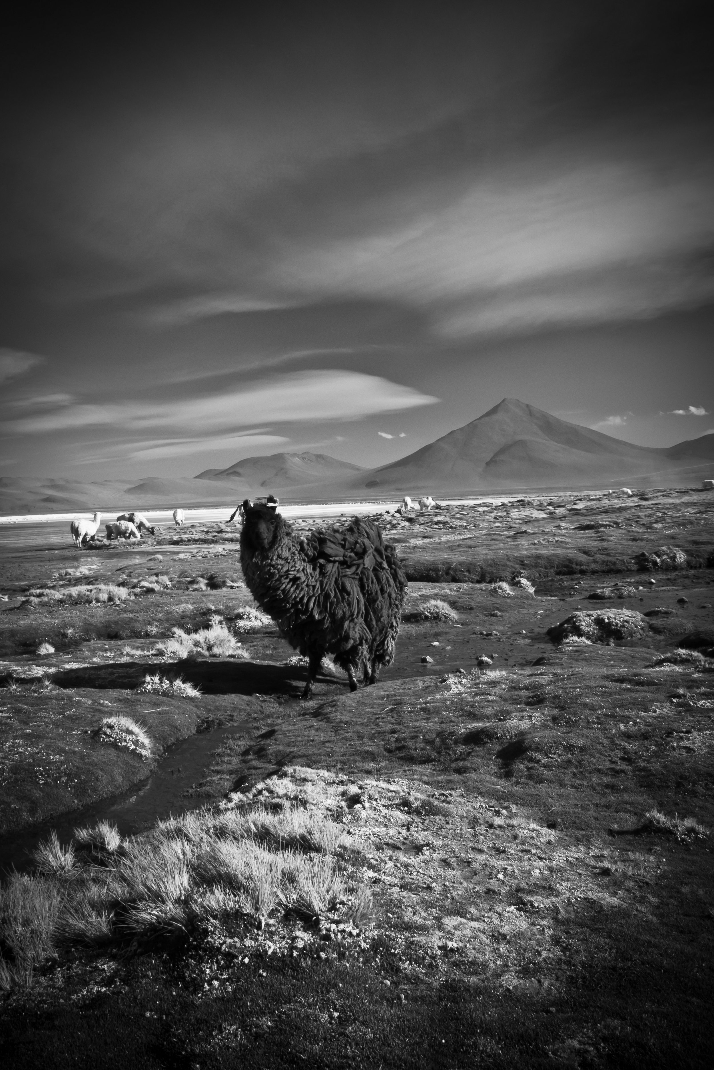 Eternal Silence - Andean Landscape Fine Art Print