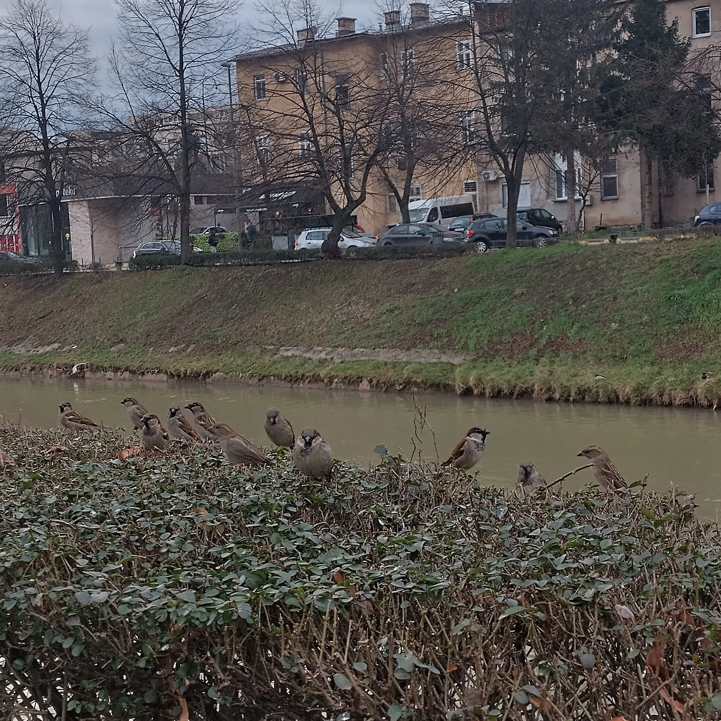 IMG_20260213_164132_HDR 1.jpg