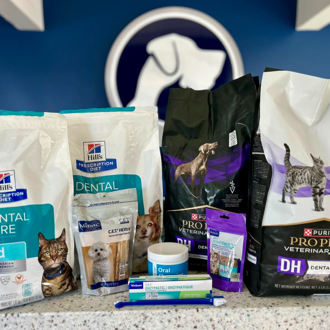 FVC Faves: Dental Care Products to Protect Your Pet’s Smile