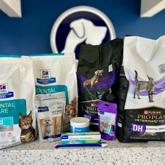 FVC Faves: Dental Care Products