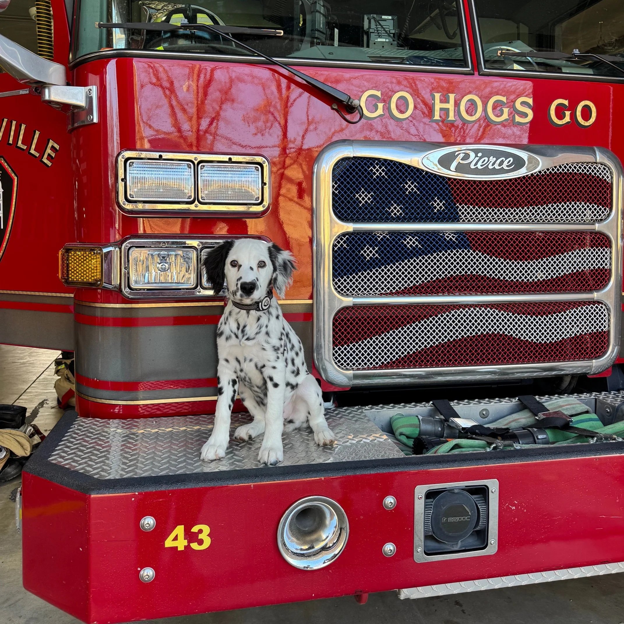 Puppy Season Spotlight: Ash’s Story &amp; Expert Crate Training Tips