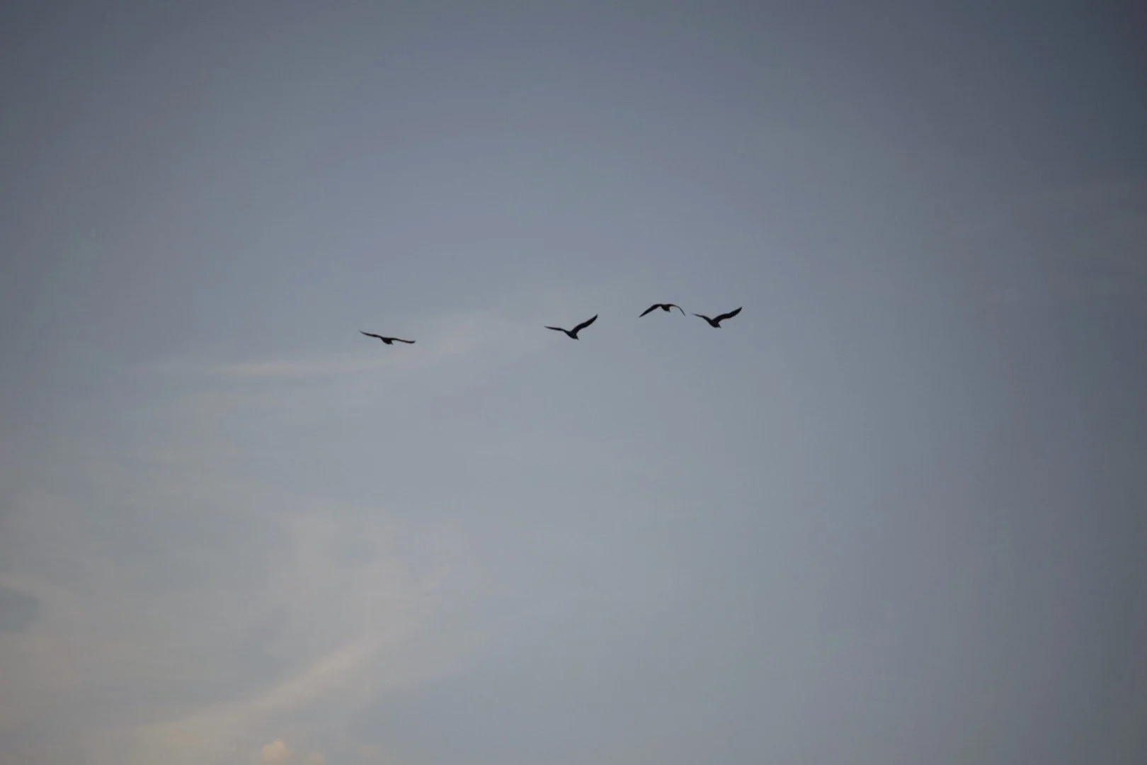 A27180EC-8747-4F21-8A47-5B3A49AA95D7.jpg